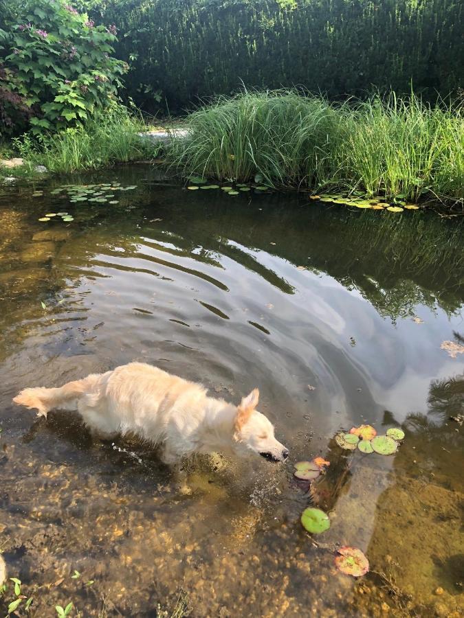 Millies Hosting - Familienurlaub Mit Hund In Kaernten Apartamento Sankt Paul im Lavanttal Exterior foto