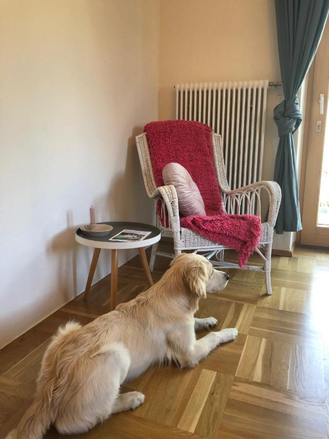 Millies Hosting - Familienurlaub Mit Hund In Kaernten Apartamento Sankt Paul im Lavanttal Exterior foto