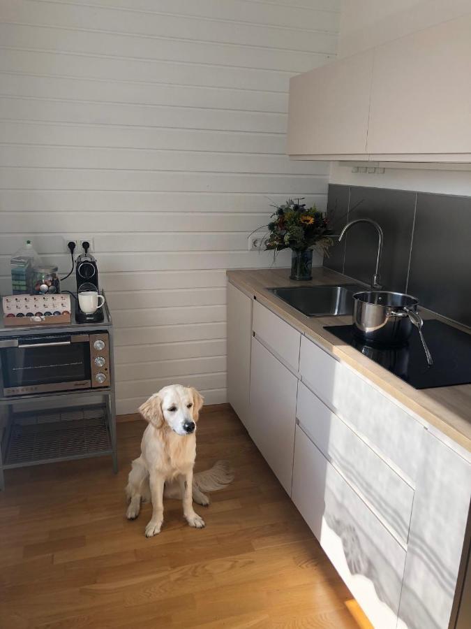 Millies Hosting - Familienurlaub Mit Hund In Kaernten Apartamento Sankt Paul im Lavanttal Exterior foto