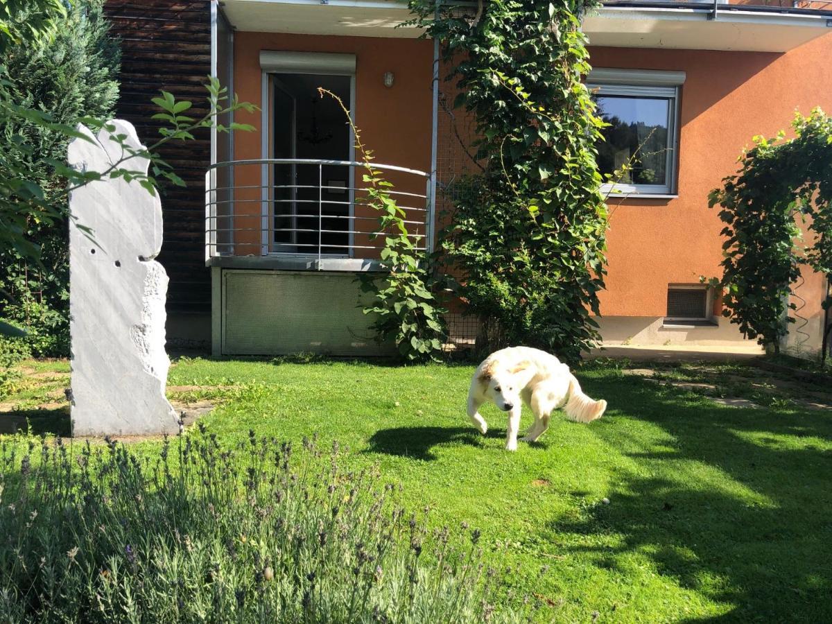 Millies Hosting - Familienurlaub Mit Hund In Kaernten Apartamento Sankt Paul im Lavanttal Exterior foto