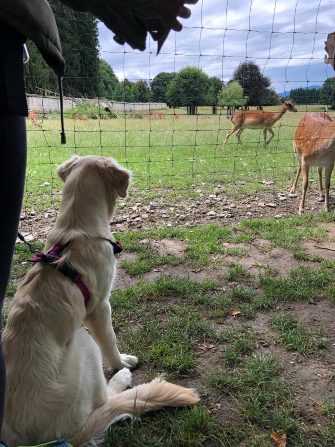 Millies Hosting - Familienurlaub Mit Hund In Kaernten Apartamento Sankt Paul im Lavanttal Exterior foto