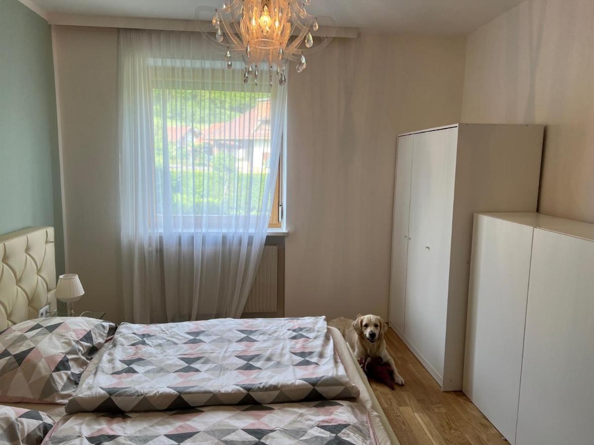 Millies Hosting - Familienurlaub Mit Hund In Kaernten Apartamento Sankt Paul im Lavanttal Exterior foto